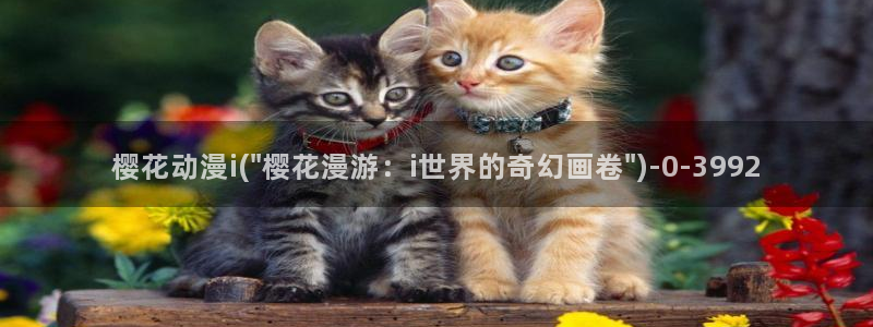 咒术回战樱花动漫